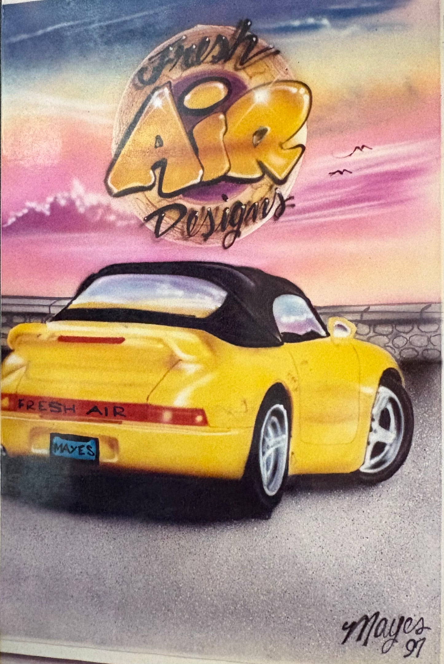 CarPortraits